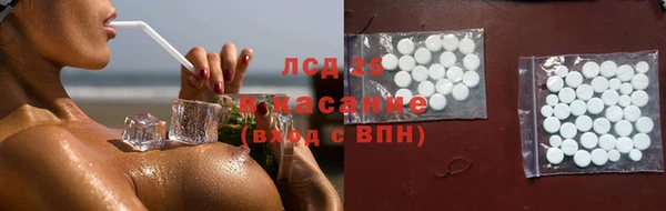 гидра Аркадак