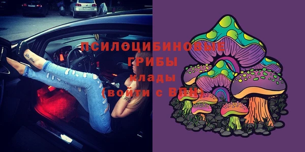 гидра Аркадак