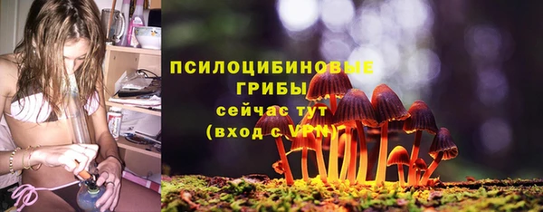 гидра Алексин